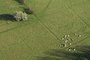 BUITEN BEELD Foto: 62339