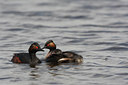 BUITEN BEELD Foto: 62443