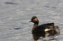 BUITEN BEELD Foto: 62444