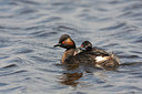 BUITEN BEELD Foto: 62447