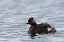 BUITEN BEELD Foto: 62448