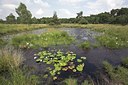 BUITEN BEELD Foto: 62481