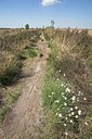 BUITEN BEELD Foto: 62482