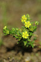 BUITEN BEELD Foto: 62607