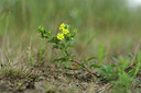 BUITEN BEELD Foto: 62609