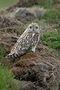 BUITEN BEELD Foto: 62644