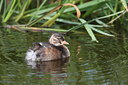 BUITEN BEELD Foto: 62652