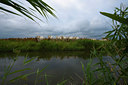 BUITEN BEELD Foto: 62666