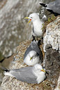 BUITEN BEELD Foto: 62688