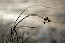 BUITEN BEELD Foto: 62704
