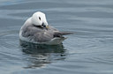 BUITEN BEELD Foto: 62778