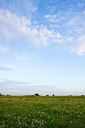 BUITEN BEELD Foto: 62854