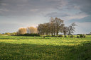 BUITEN BEELD Foto: 62892