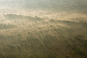 BUITEN BEELD Foto: 63005