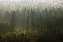 BUITEN BEELD Foto: 63009