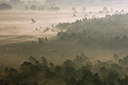 BUITEN BEELD Foto: 63012