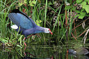 BUITEN BEELD Foto: 63023