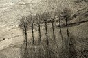 BUITEN BEELD Foto: 63173