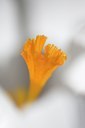 BUITEN BEELD Foto: 63213