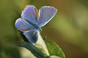 BUITEN BEELD Foto: 63222