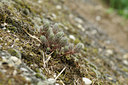 BUITEN BEELD Foto: 63230