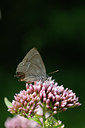 BUITEN BEELD Foto: 63251