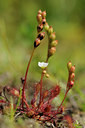BUITEN BEELD Foto: 63253