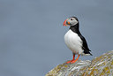 BUITEN BEELD Foto: 63274