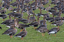 BUITEN BEELD Foto: 63314
