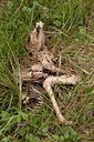 BUITEN BEELD Foto: 63343