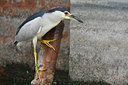 BUITEN BEELD Foto: 63360