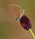 BUITEN BEELD Foto: 63458