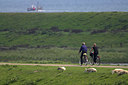 BUITEN BEELD Foto: 63589