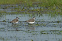 BUITEN BEELD Foto: 63643