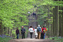 BUITEN BEELD Foto: 63734