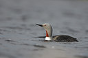 BUITEN BEELD Foto: 63922