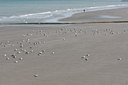 BUITEN BEELD Foto: 64075