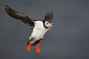 BUITEN BEELD Foto: 64113