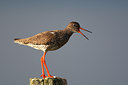 BUITEN BEELD Foto: 64119