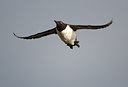 BUITEN BEELD Foto: 64137