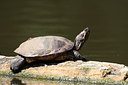 BUITEN BEELD Foto: 64324