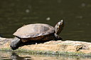 BUITEN BEELD Foto: 64325
