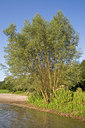 BUITEN BEELD Foto: 64331