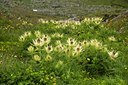 BUITEN BEELD Foto: 64340