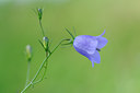 BUITEN BEELD Foto: 64407