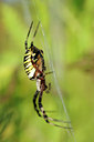 BUITEN BEELD Foto: 64416