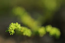 BUITEN BEELD Foto: 64420