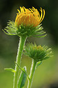 BUITEN BEELD Foto: 64421