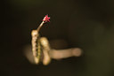 BUITEN BEELD Foto: 64436