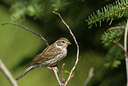 BUITEN BEELD Foto: 64438